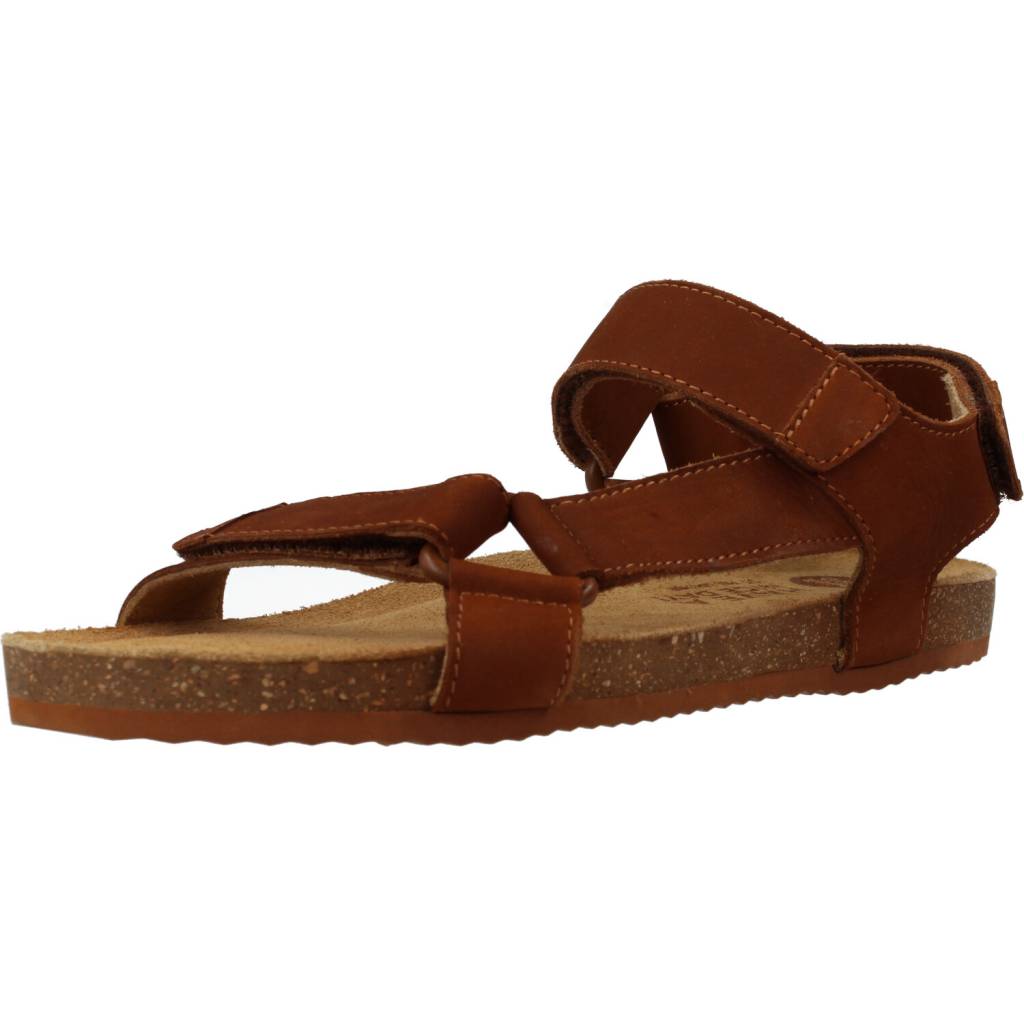 GIOSEPPO COAMO en color MARRON (1)