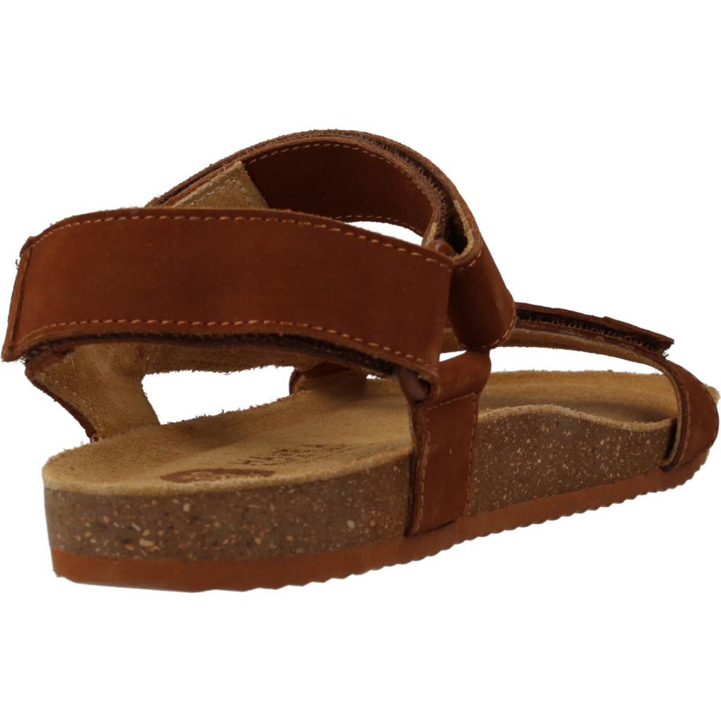 GIOSEPPO COAMO en color MARRON (3)