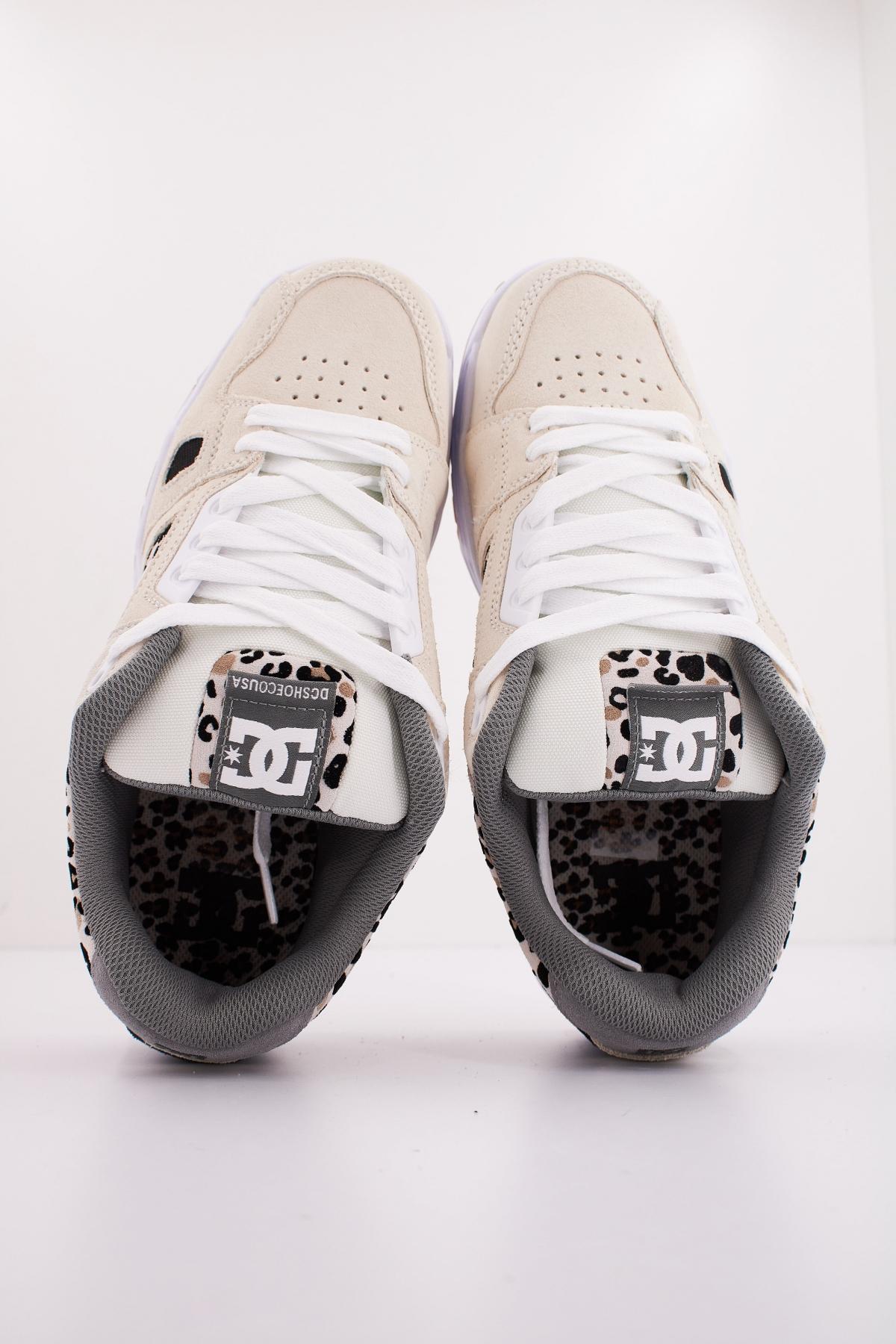 DC STAG en color BEIS (3)