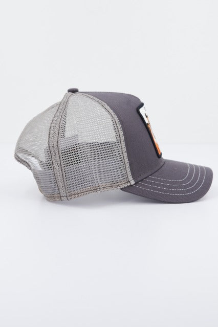 GOORIN BROS THE TIGER en color GRIS (2)