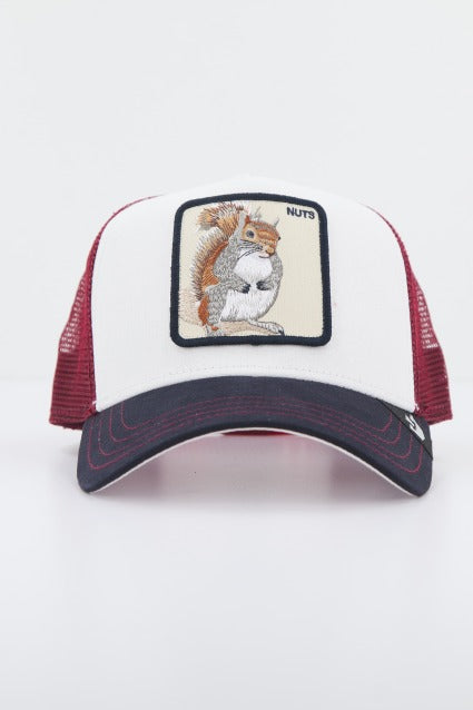 GOORIN BROS THE NUTTS SQUIRREL en color BURDEOS (1)