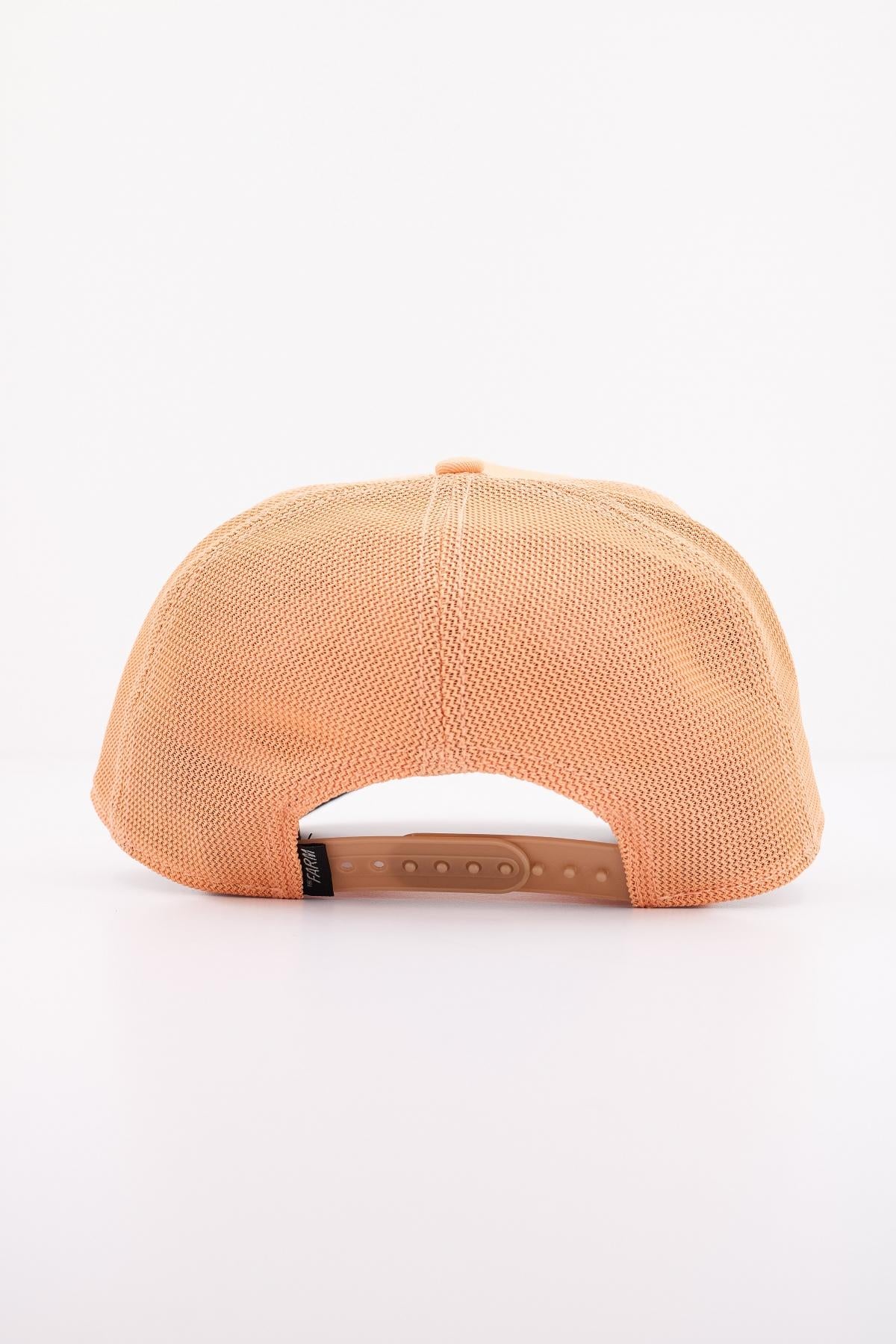 GOORIN BROS COOL CAT en color NARANJA (3)