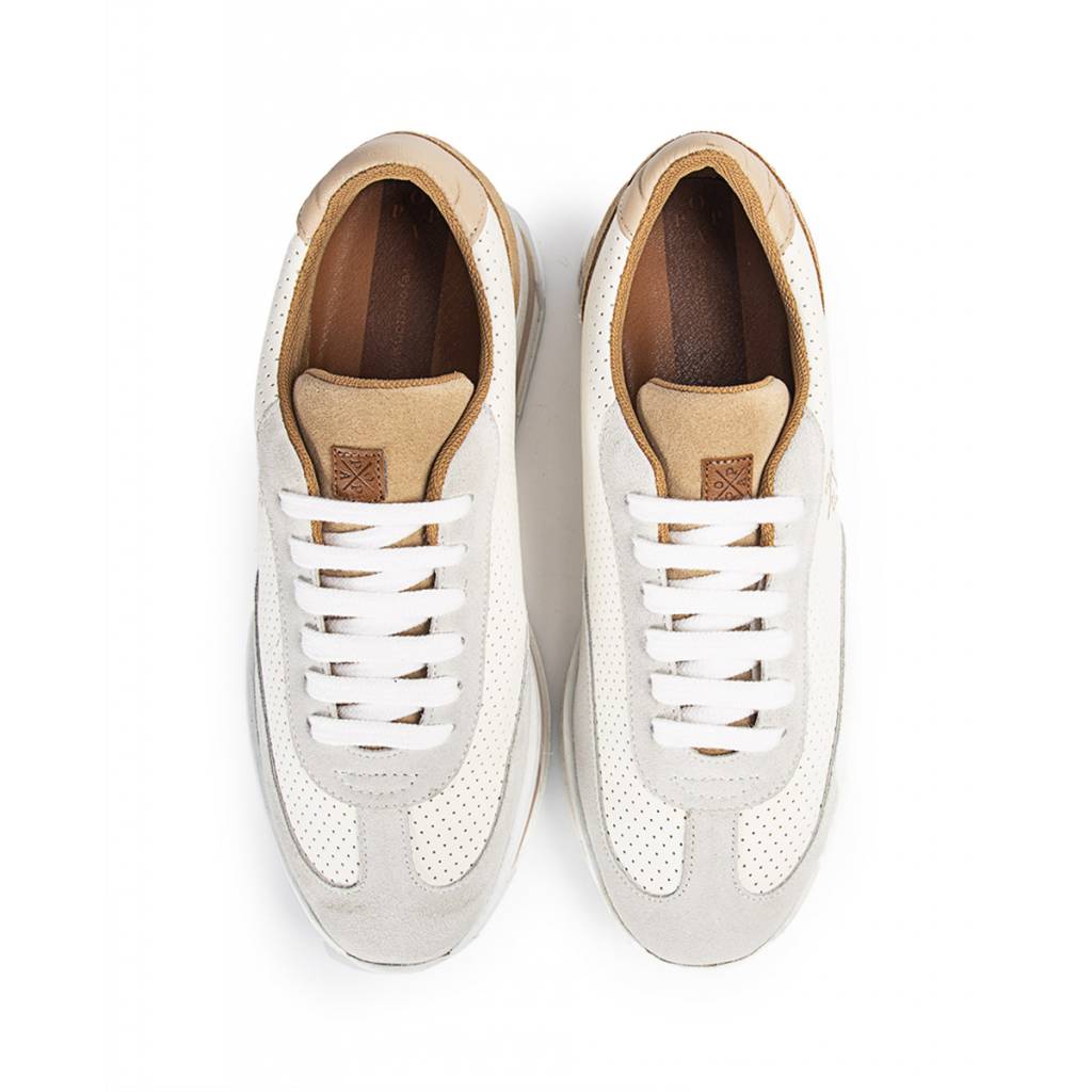 POPA en color BEIS (3)