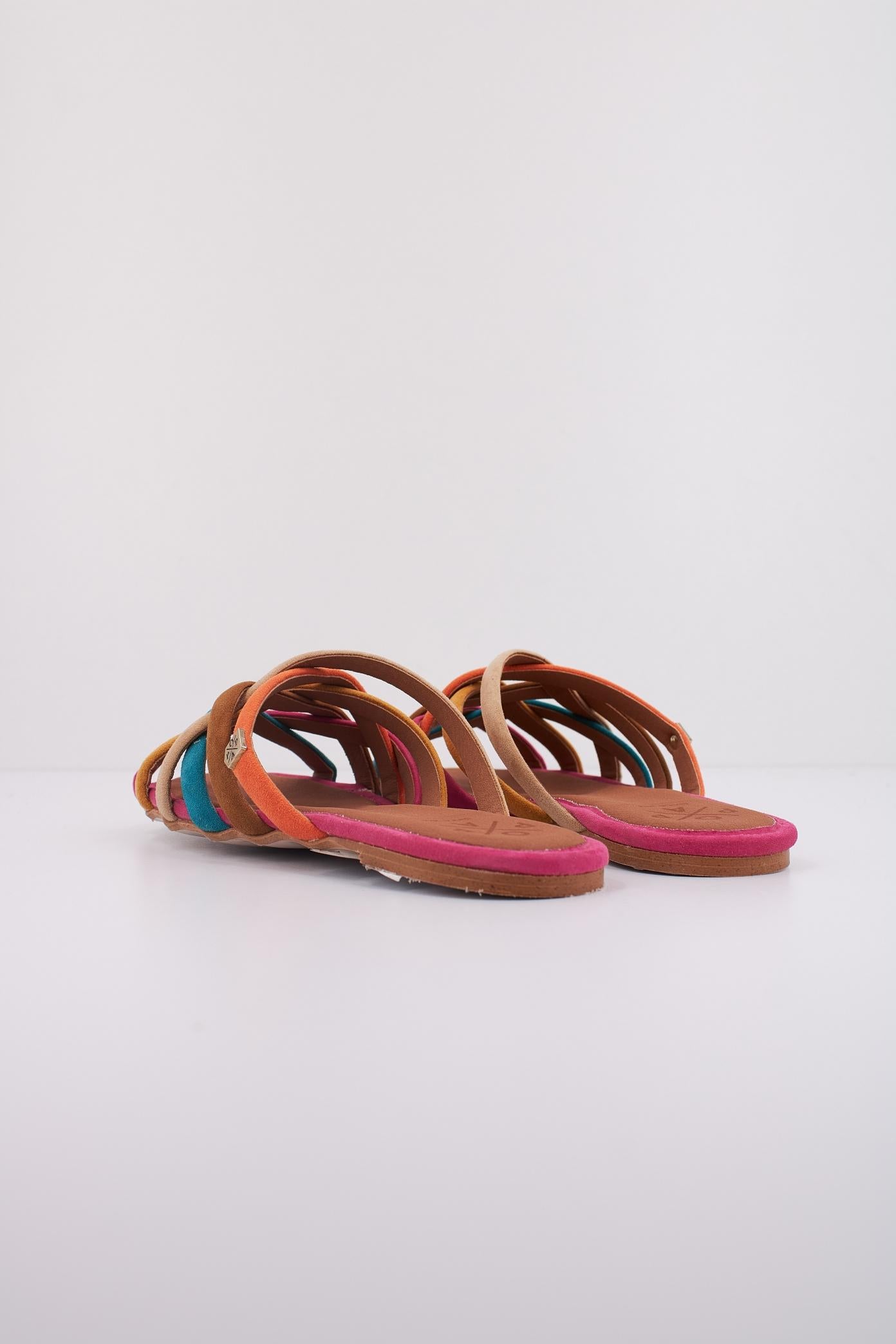 POPA MS en color MULTICOLOR (4)