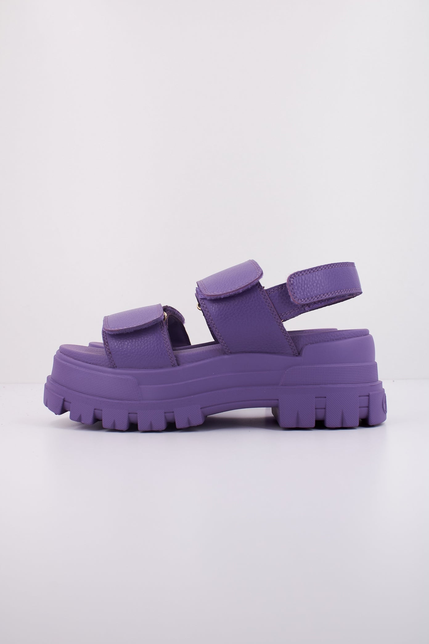 BUFFALO ASPHA SND en color VIOLETA (1)