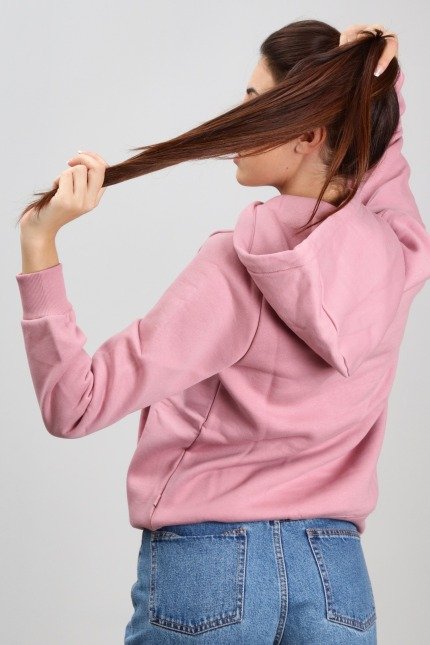 DICKIES ICON LOGO HOODIE W en color ROSA (2)