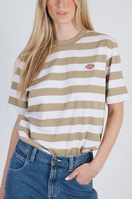 DICKIES RIVERGROVE SS TEE en color MARRON (1)