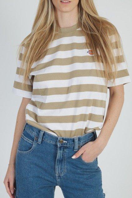 DICKIES RIVERGROVE SS TEE en color MARRON (3)