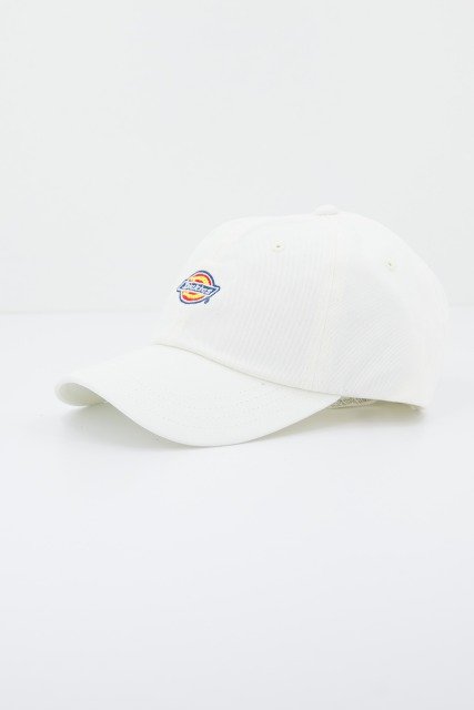 DICKIES HARDWICK en color BLANCO (2)