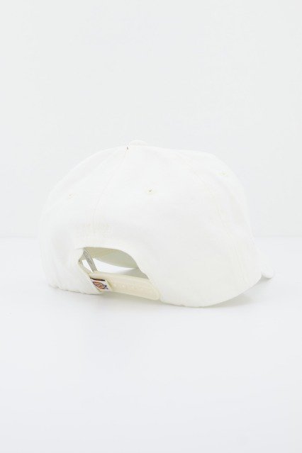 DICKIES HARDWICK en color BLANCO (3)