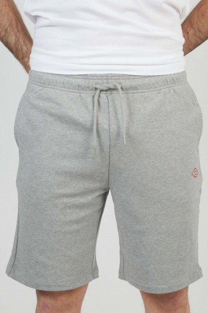 DICKIES MAPLETON SHORT UNISEX en color GRIS (1)