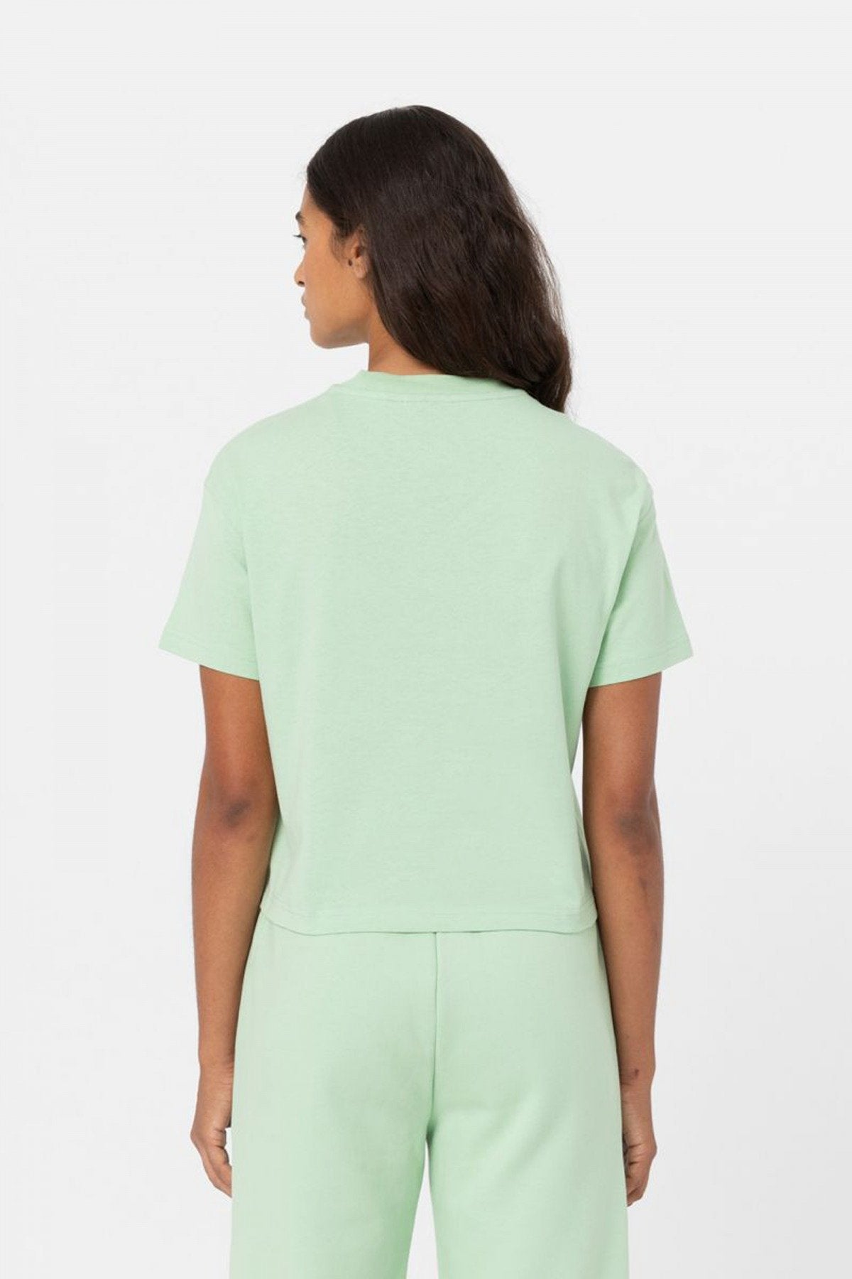 DICKIES OAKPORT BOXY TEE SS W en color VERDE (3)