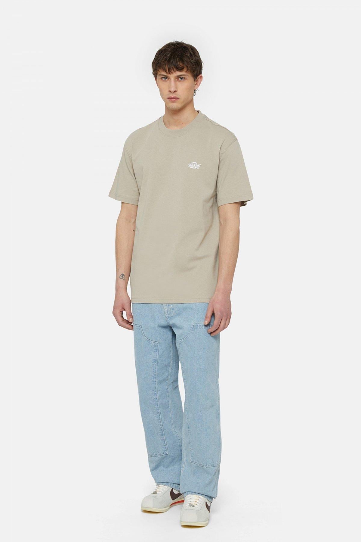 DICKIES SUMMERDALE SS TEE en color MARRON (4)