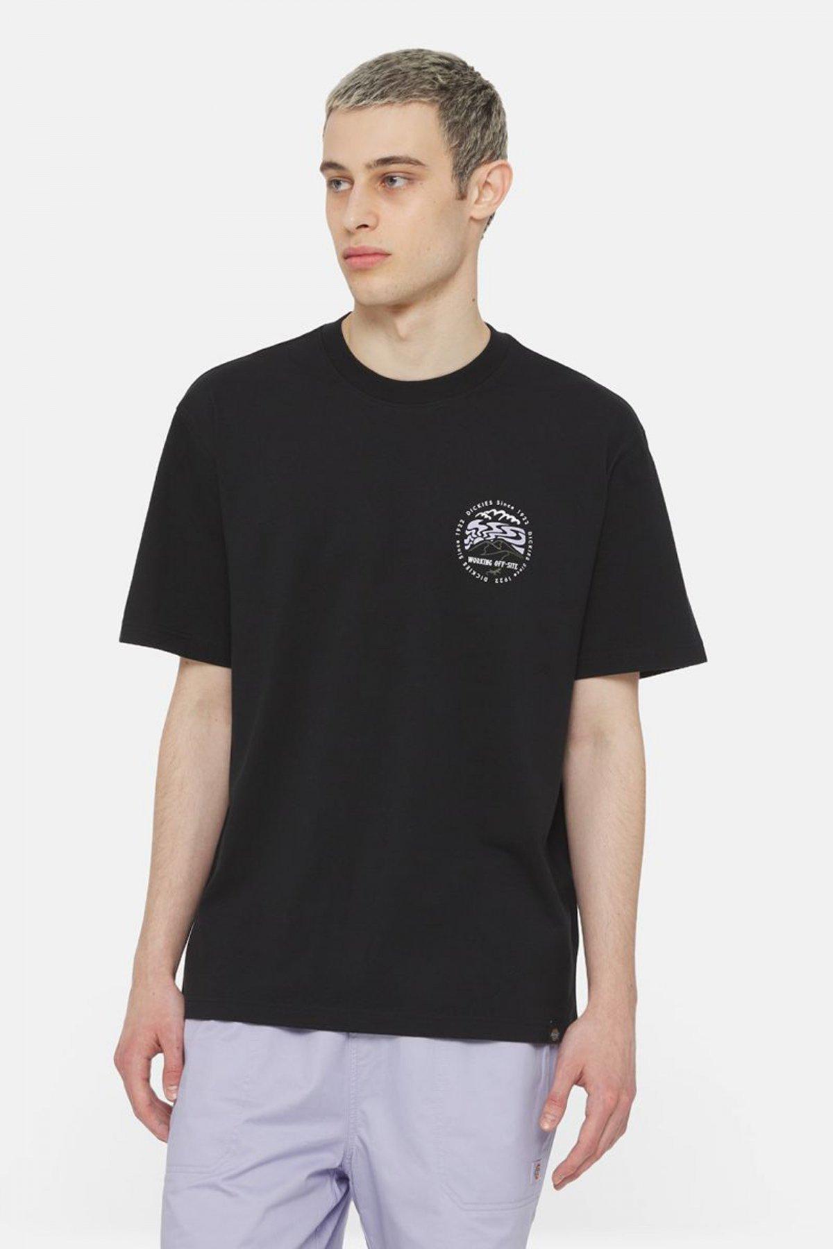 DICKIES SS STANARDSVILLE TEE en color NEGRO (1)