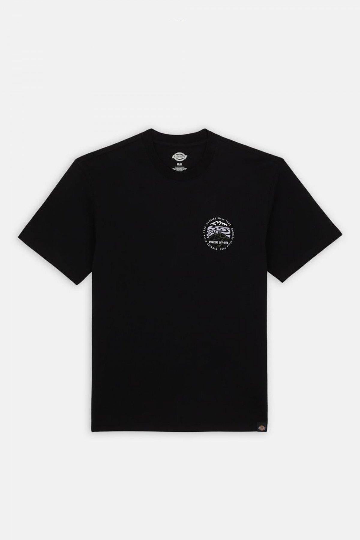 DICKIES SS STANARDSVILLE TEE en color NEGRO (2)