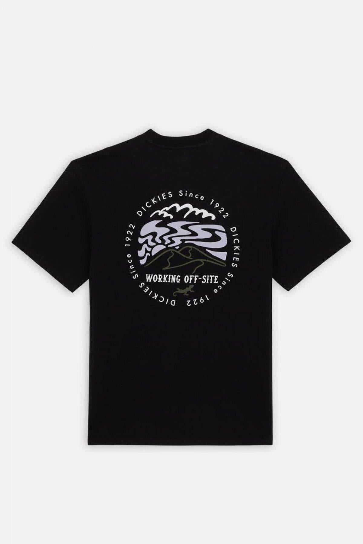DICKIES SS STANARDSVILLE TEE en color NEGRO (4)