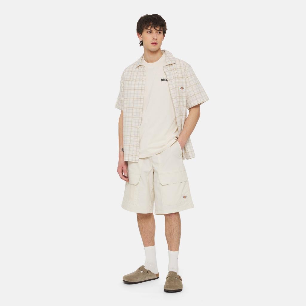 DICKIES BEACH TEE SS en color BLANCO (7)