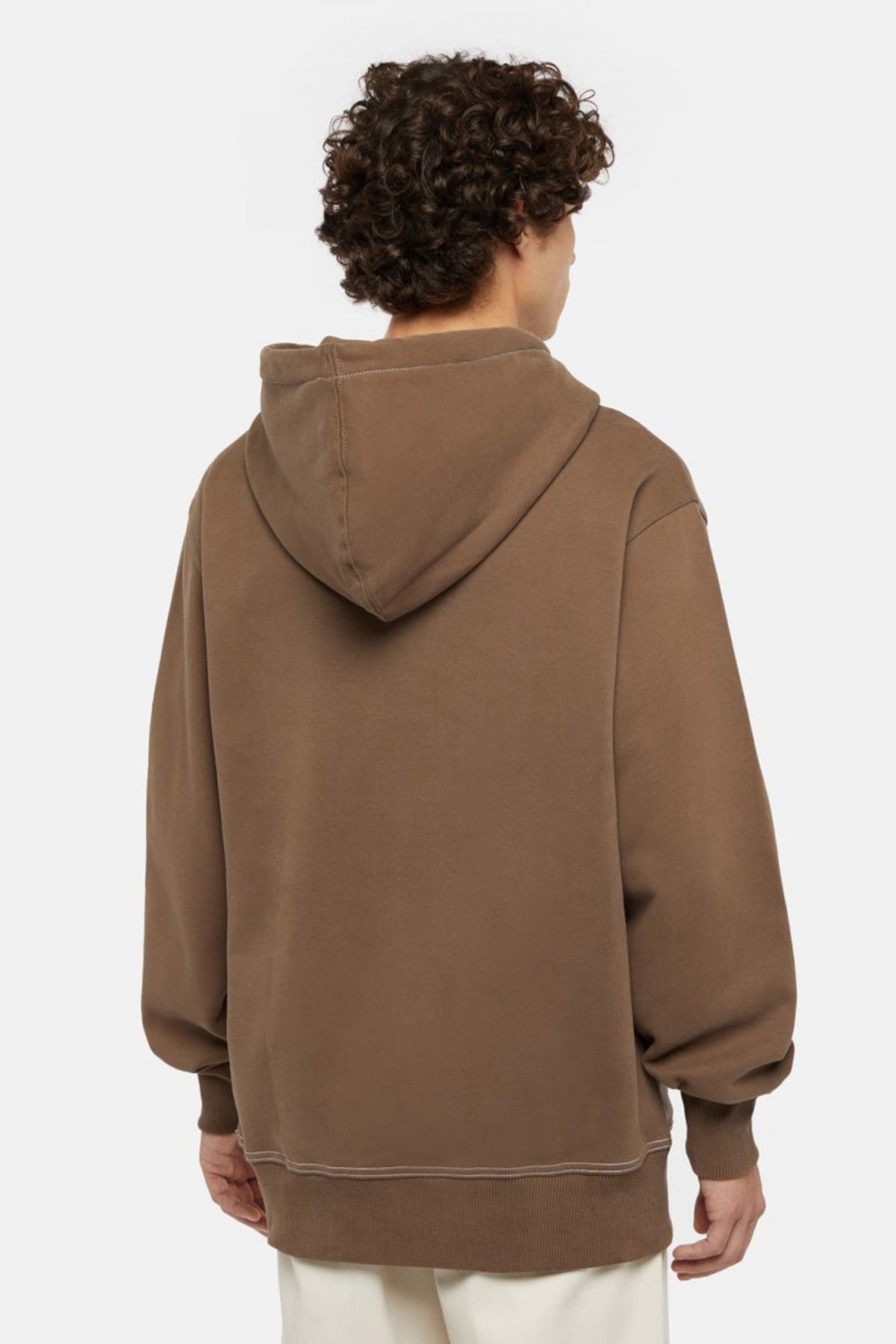 DICKIES PHILIPSBURG HOODIE en color MARRON (3)