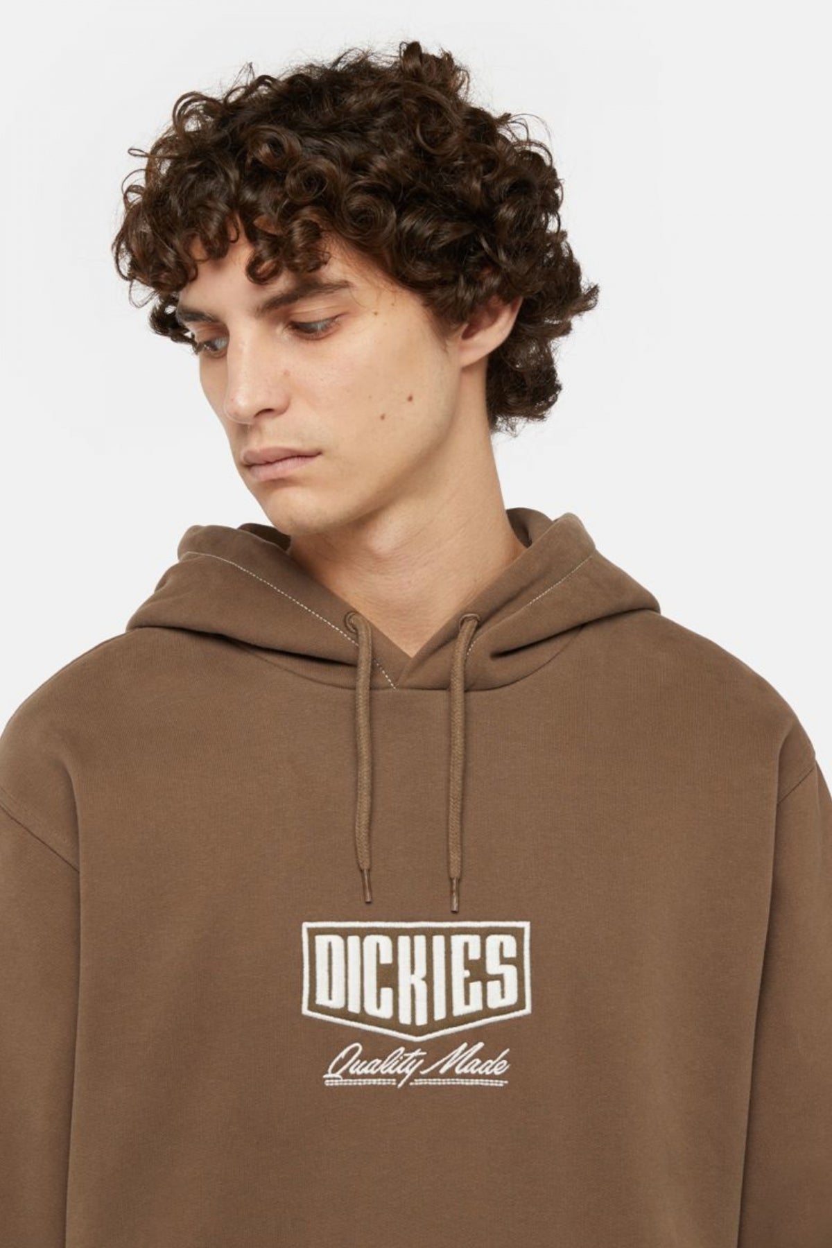 DICKIES PHILIPSBURG HOODIE en color MARRON (4)