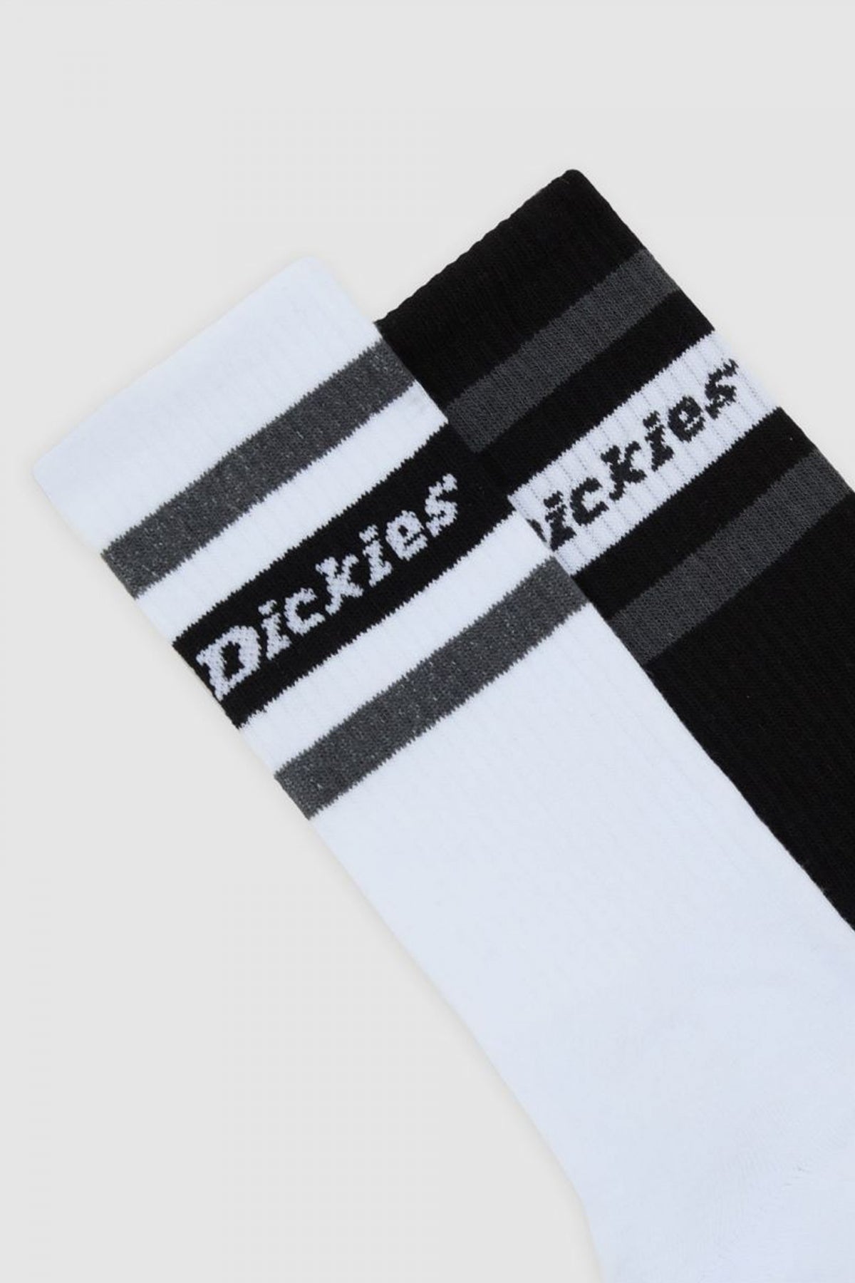 DICKIES GENOLA BLACK en color MULTICOLOR (2)