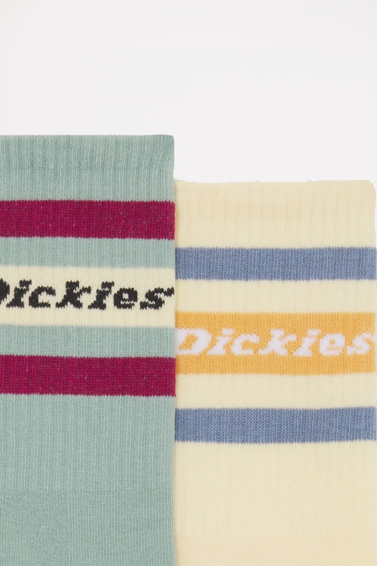 DICKIES GENOLA ICEBERG GREEN en color MULTICOLOR (3)
