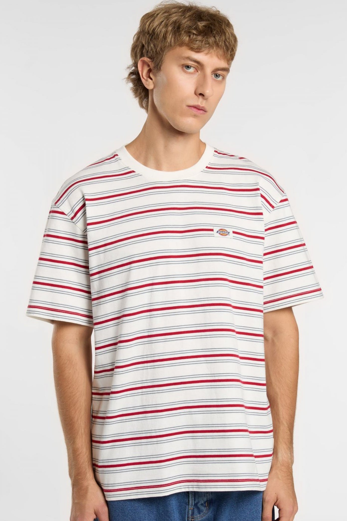 DICKIES LEWISTOWN STRIPE SS TE en color BLANCO (3)