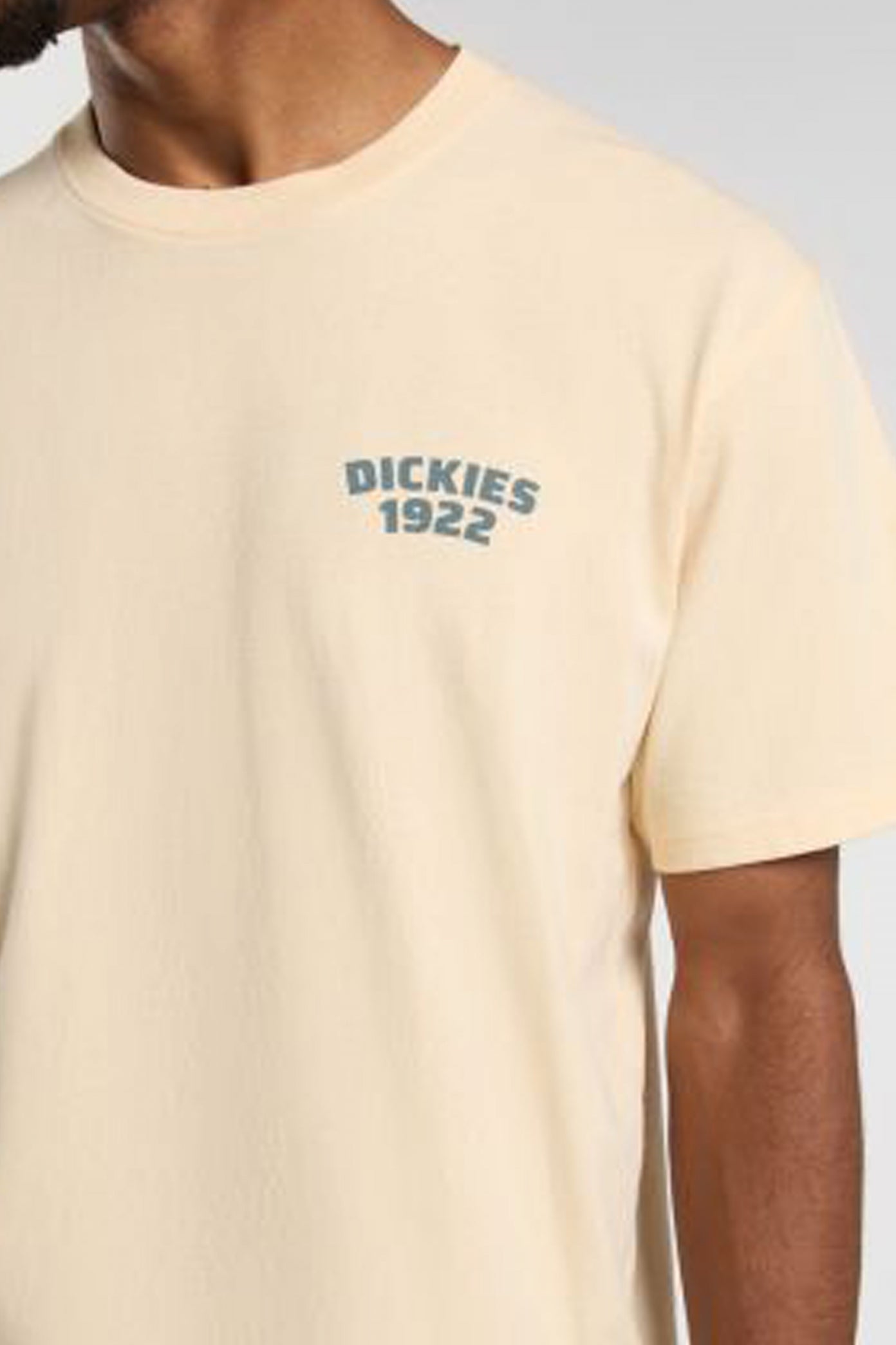 DICKIES MECHANIC SS TEE CORN en color AMARILLO (3)