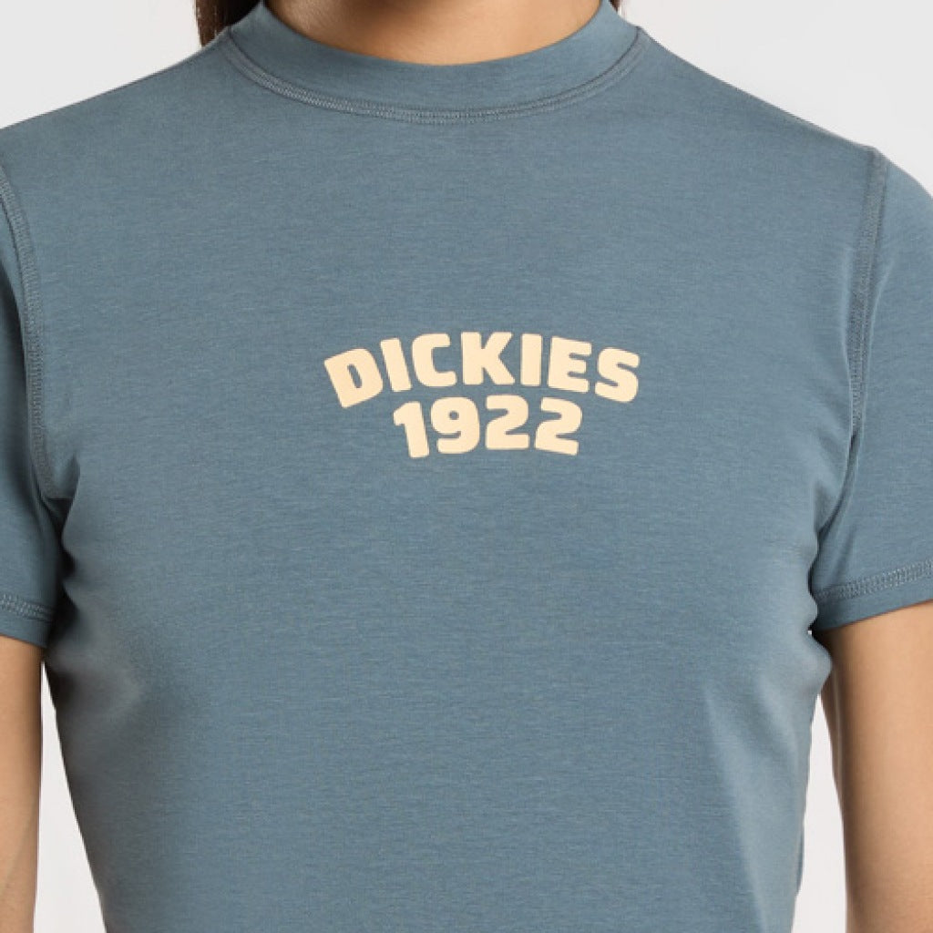DICKIES DKAZFG CENTER LOGO en color AZUL (6)
