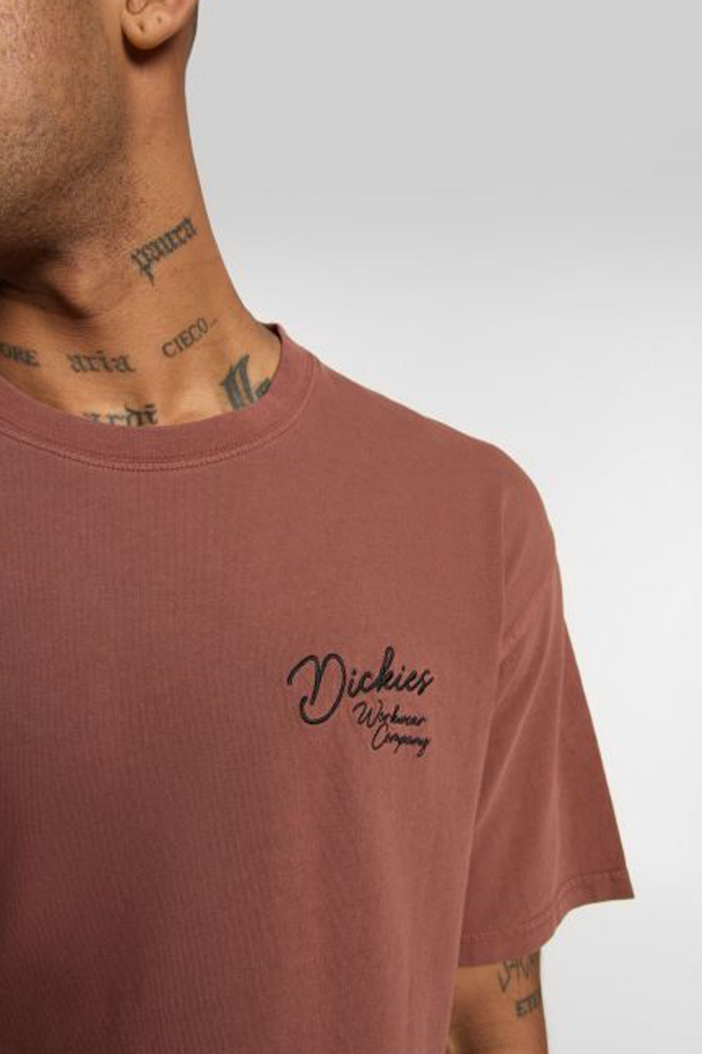 DICKIES DKAZWK ROPE CHEST LOGO SS TEE en color MARRON (3)