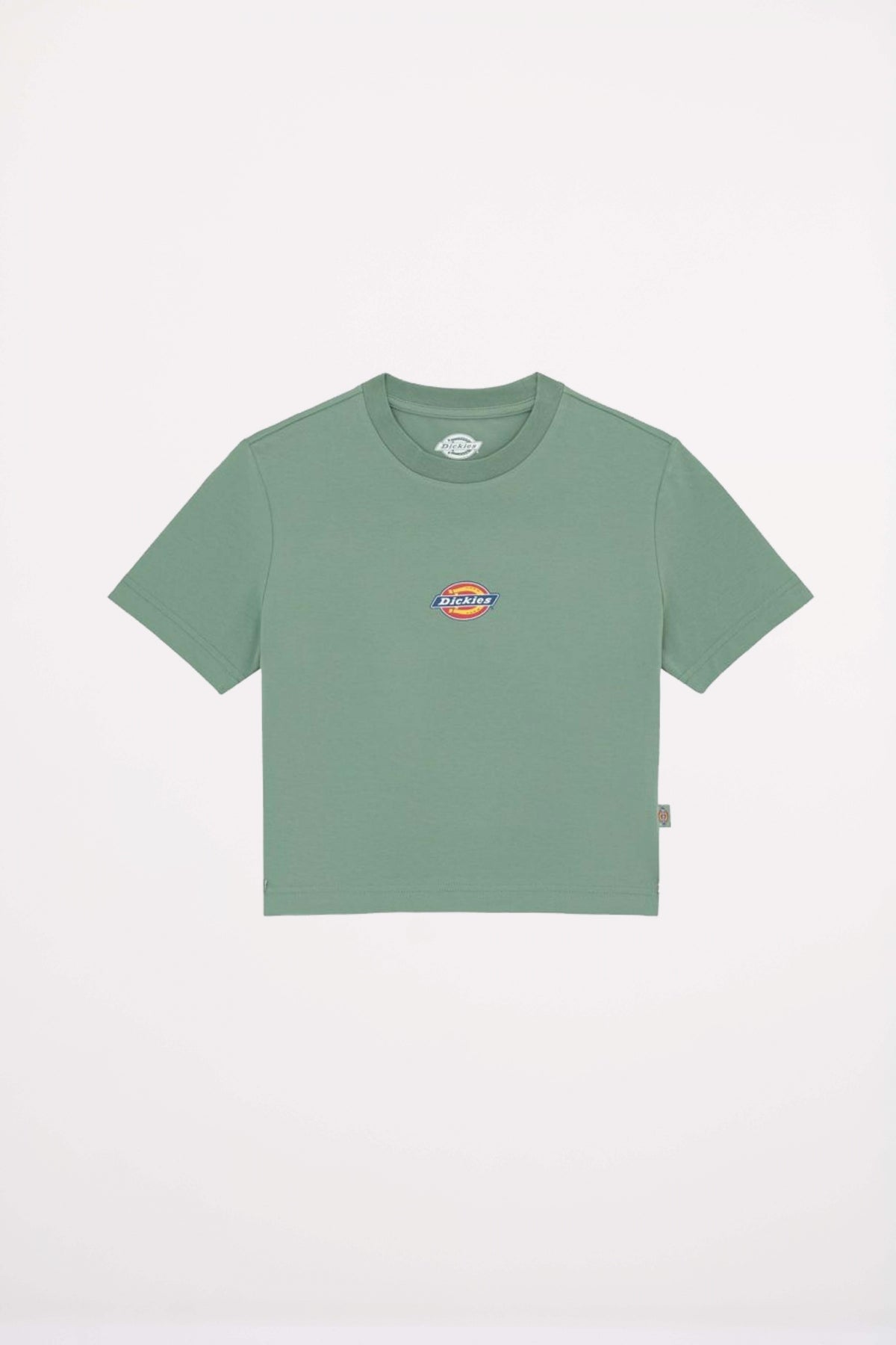 DICKIES MAPLE en color VERDE (2)
