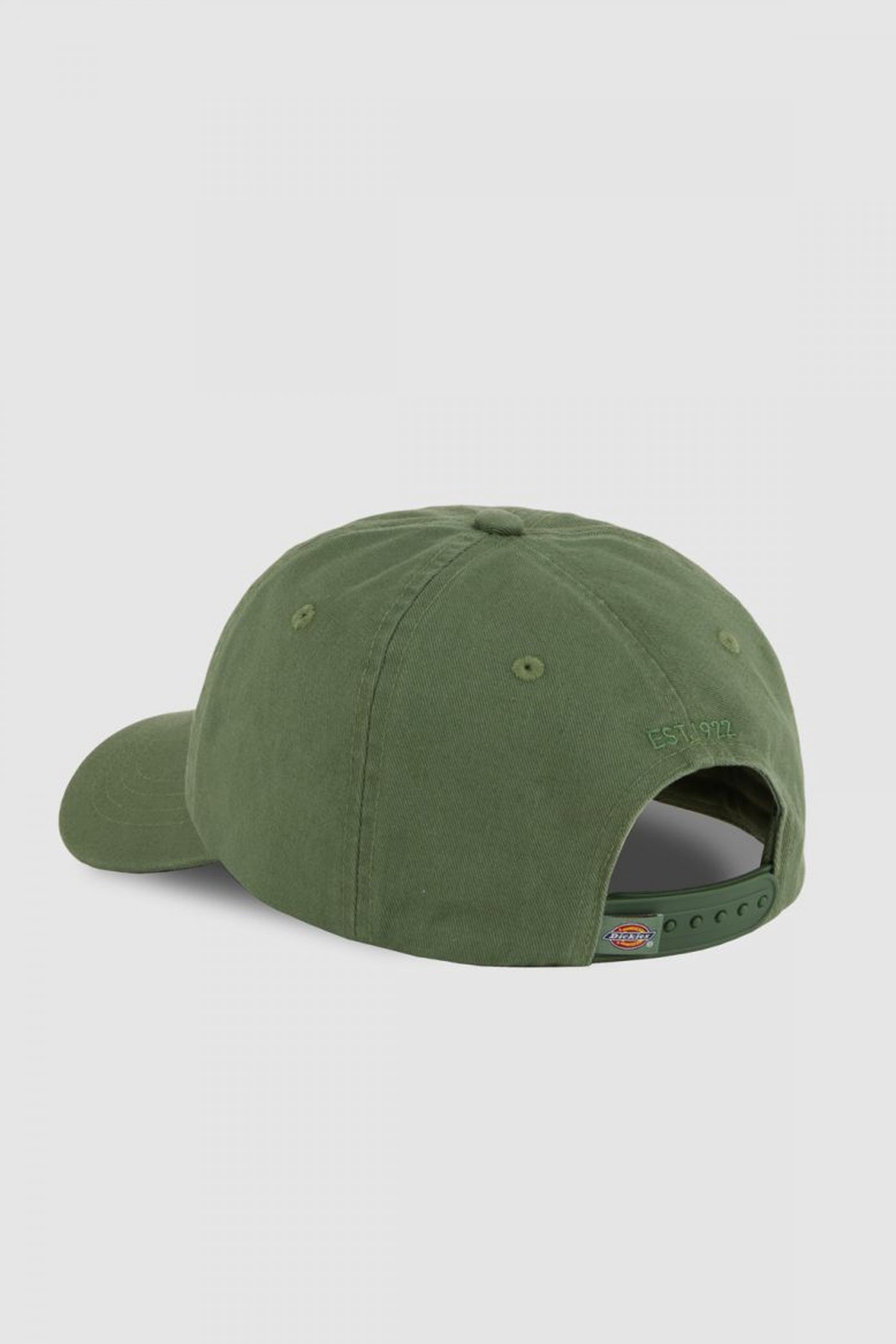 DICKIES HARDWICK en color VERDE (2)