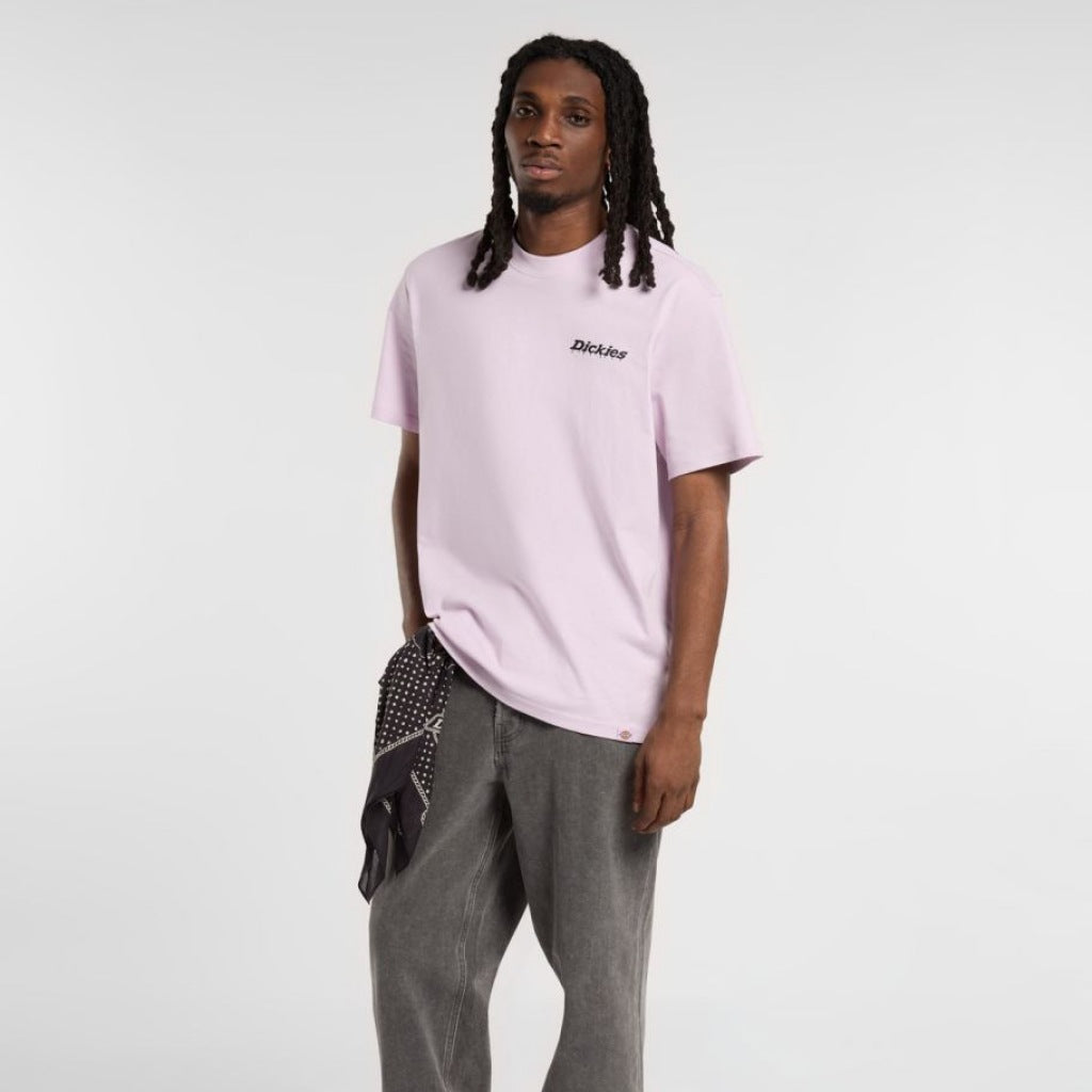 DICKIES STATESVILLE TEE en color ROSA (4)