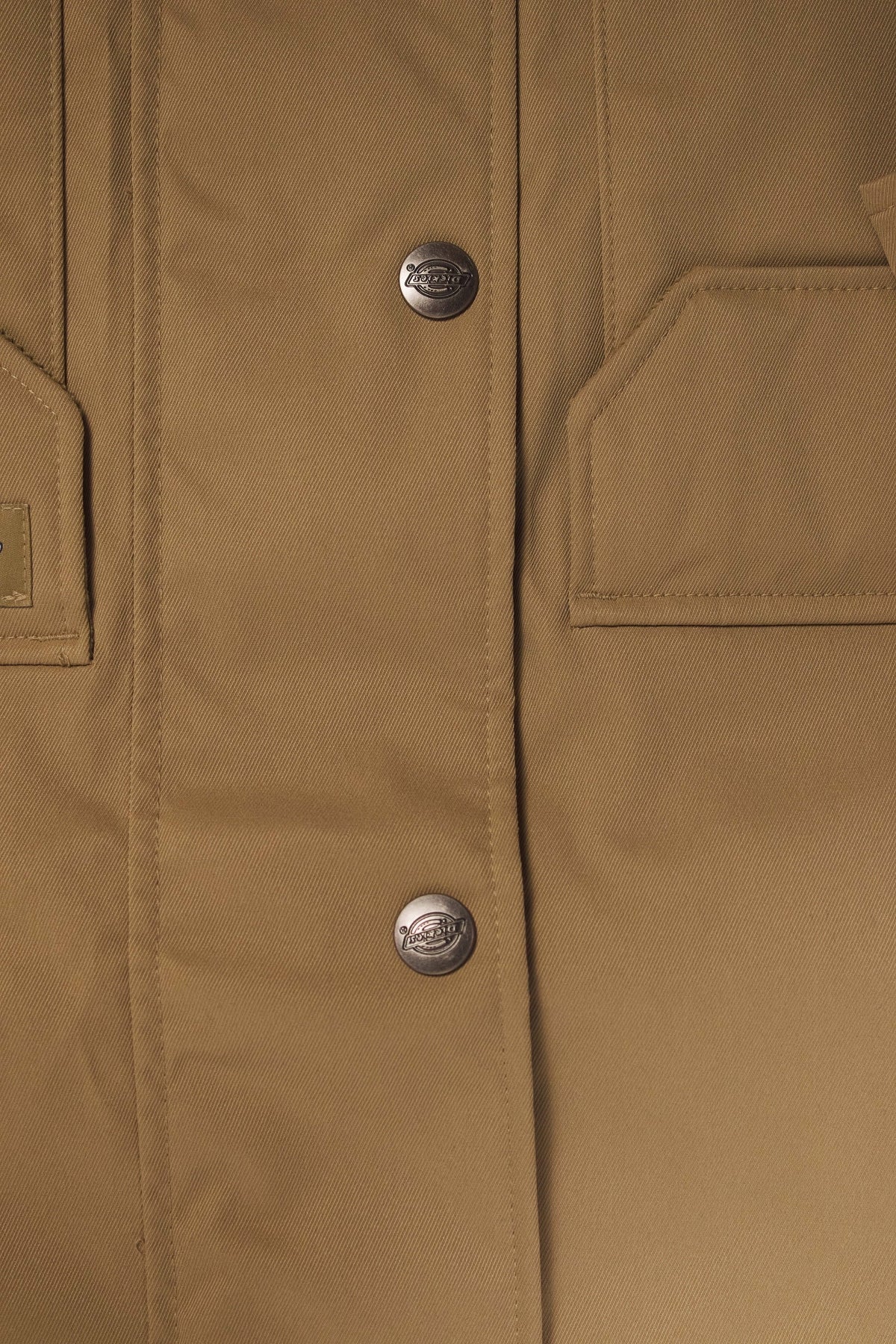DICKIES MEDINA en color MARRON (3)