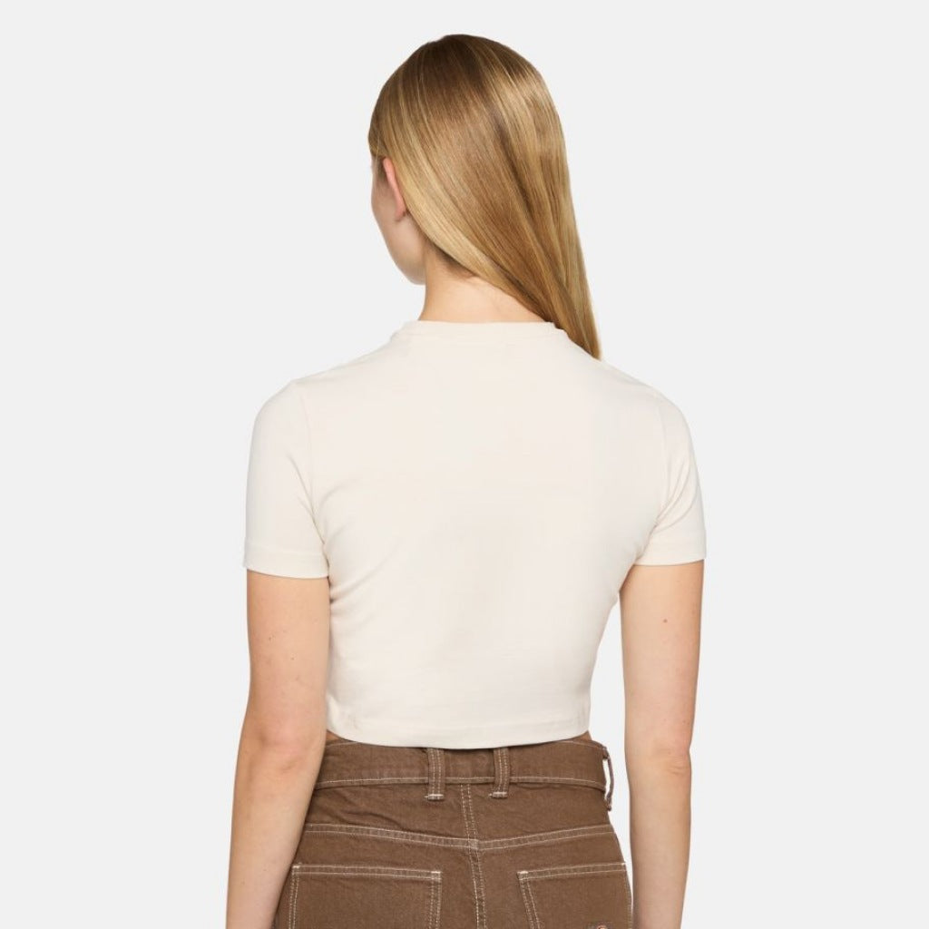 DICKIES MAPLE VALLEY en color BEIS (3)