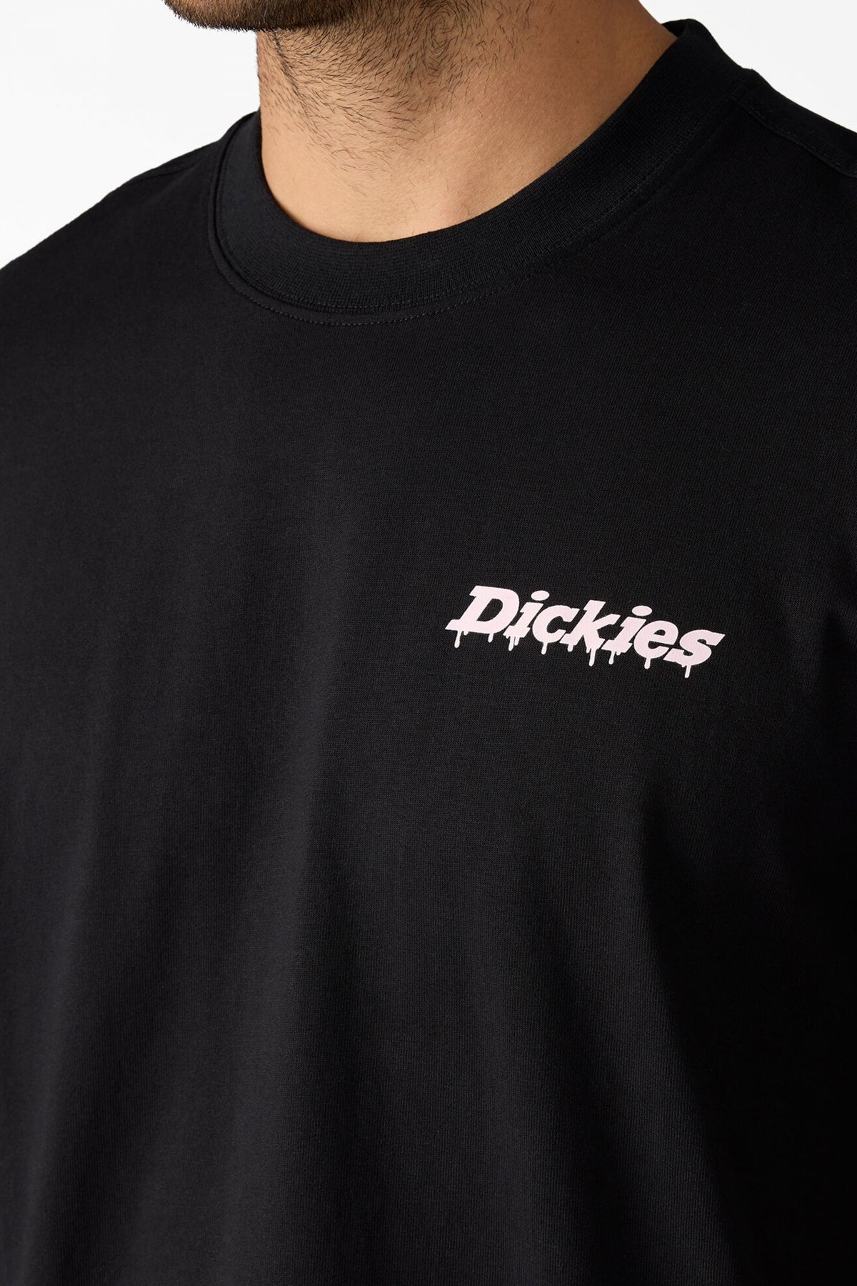DICKIES STATESVILLE en color NEGRO (2)