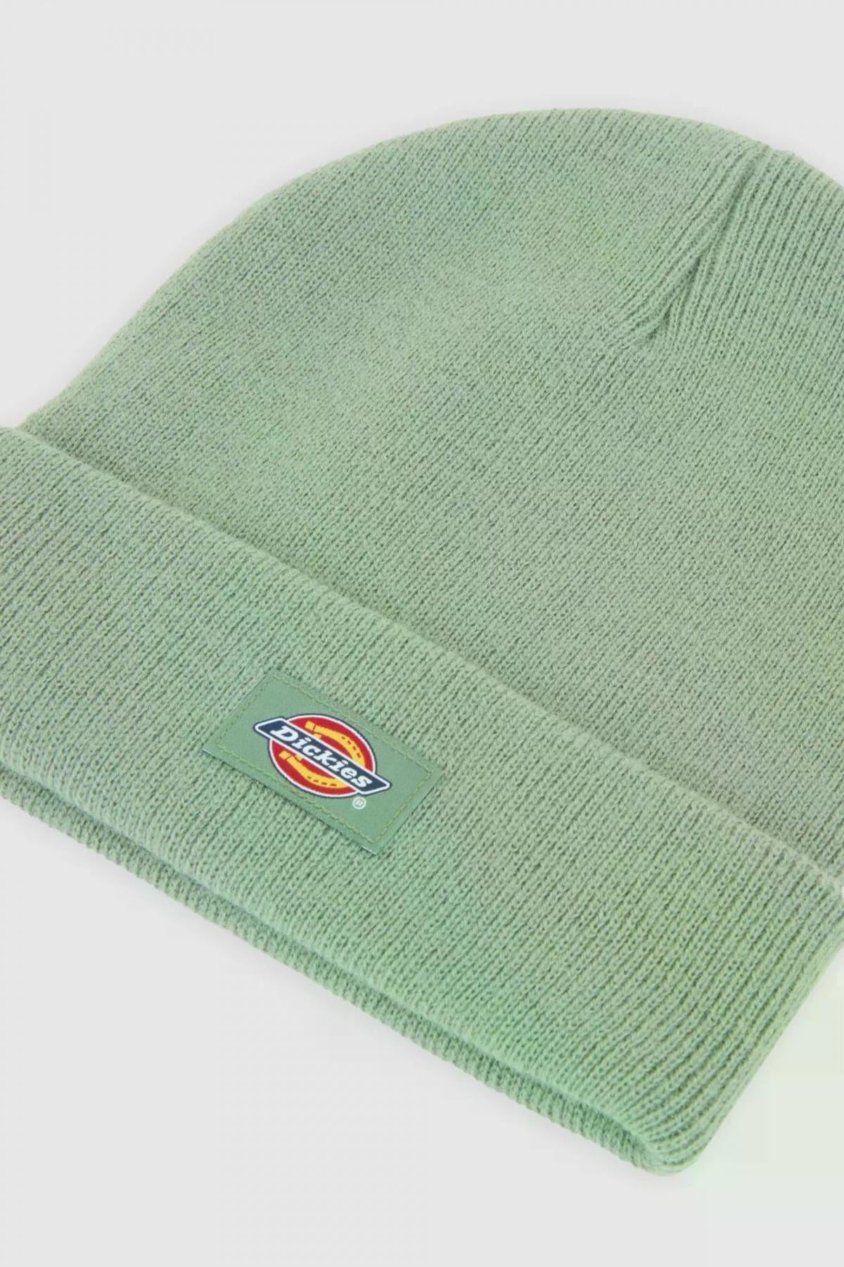 DICKIES GIBSLAND en color VERDE (3)