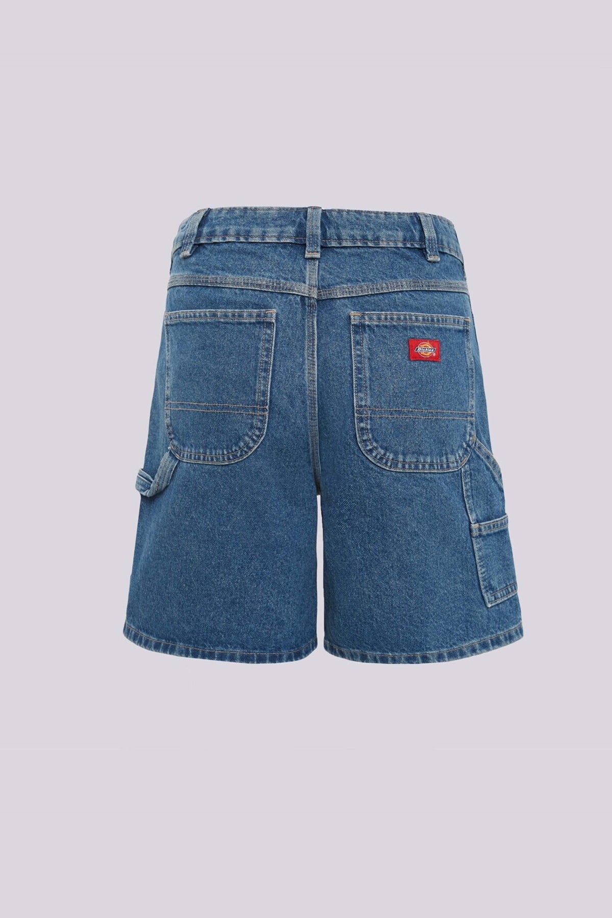DICKIES DKAPBCLB en color AZUL (2)