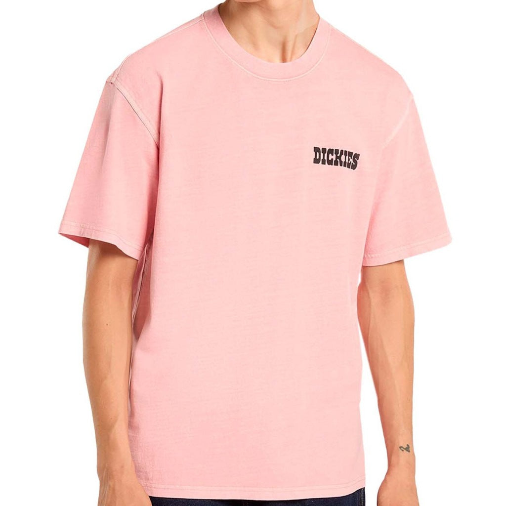 DICKIES DKABL en color ROSA (4)