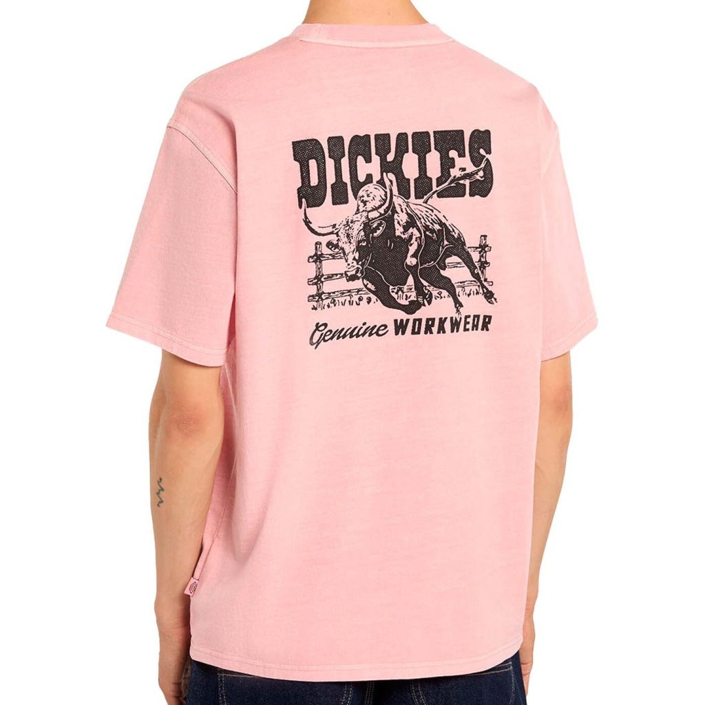 DICKIES DKABL en color ROSA (5)