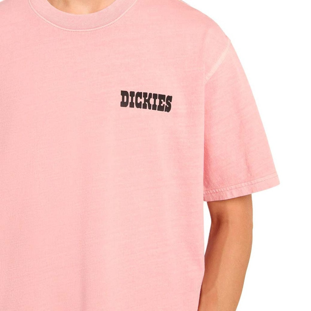DICKIES DKABL en color ROSA (6)