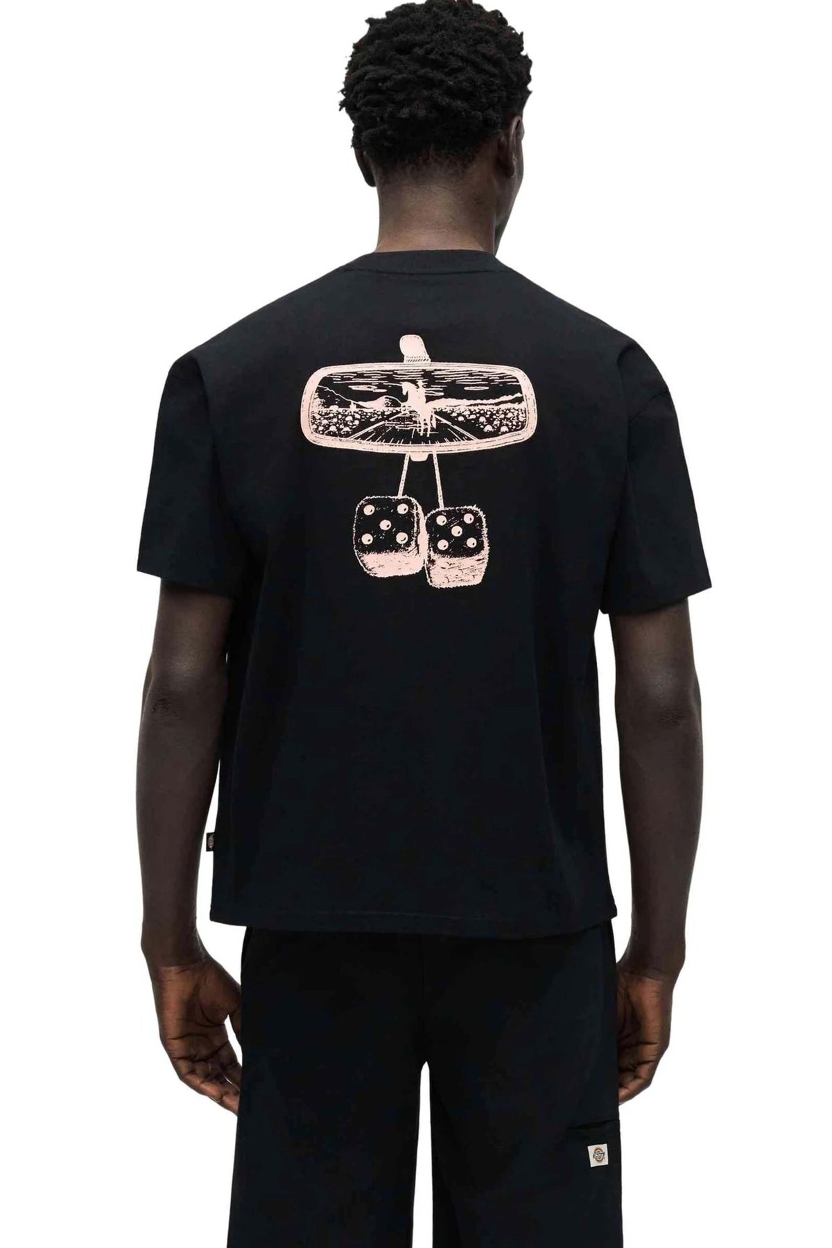 DICKIES DKAGOBLK en color NEGRO (2)