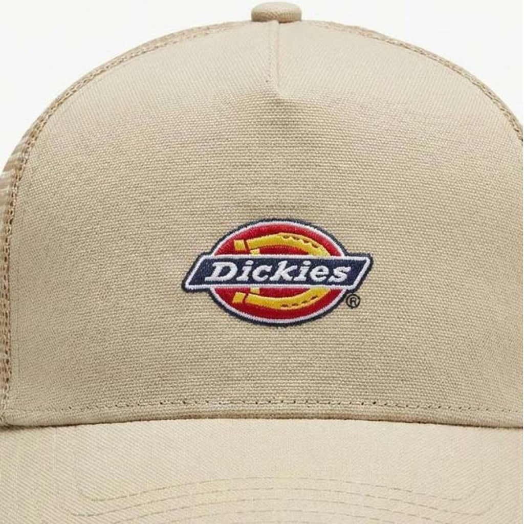 DICKIES DKAYVL en color BEIS (6)