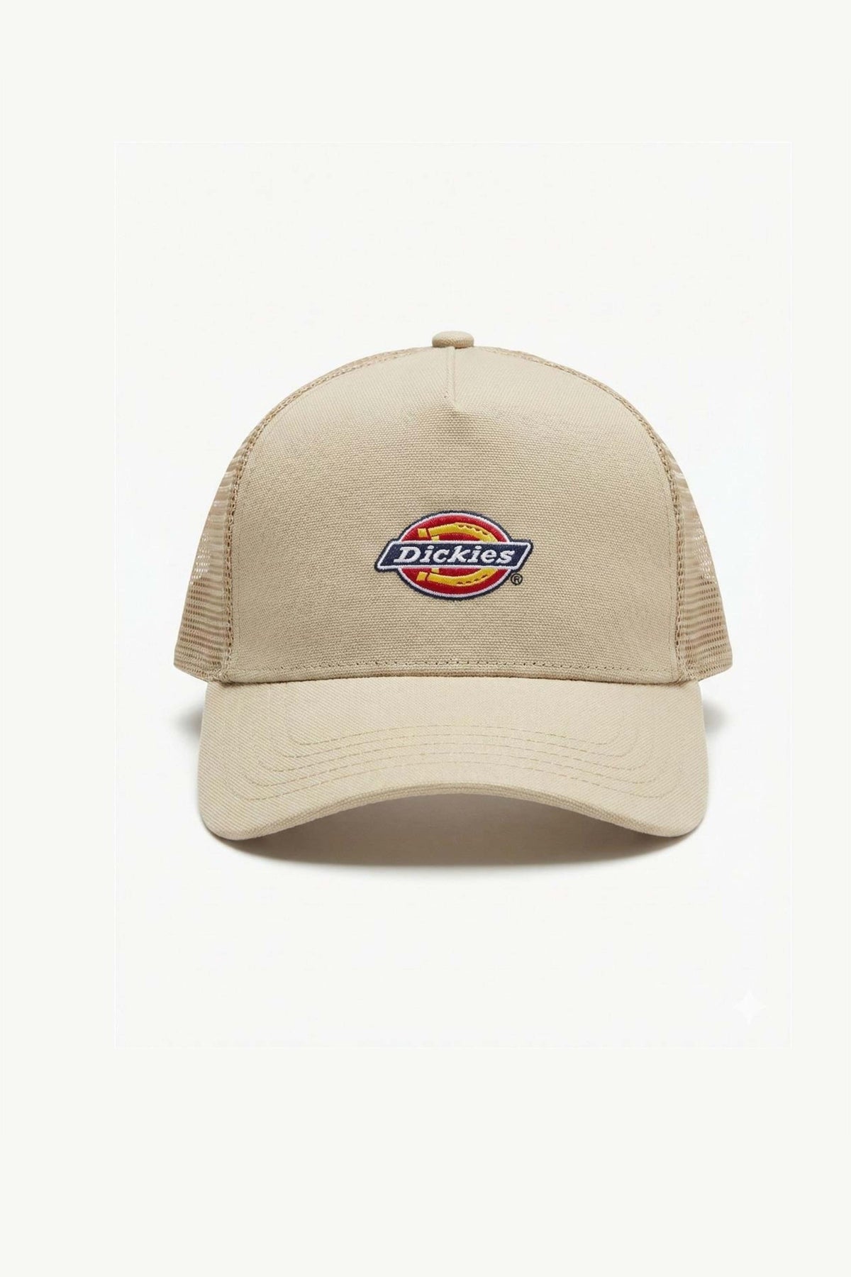 DICKIES DKAYVL en color BEIS (1)