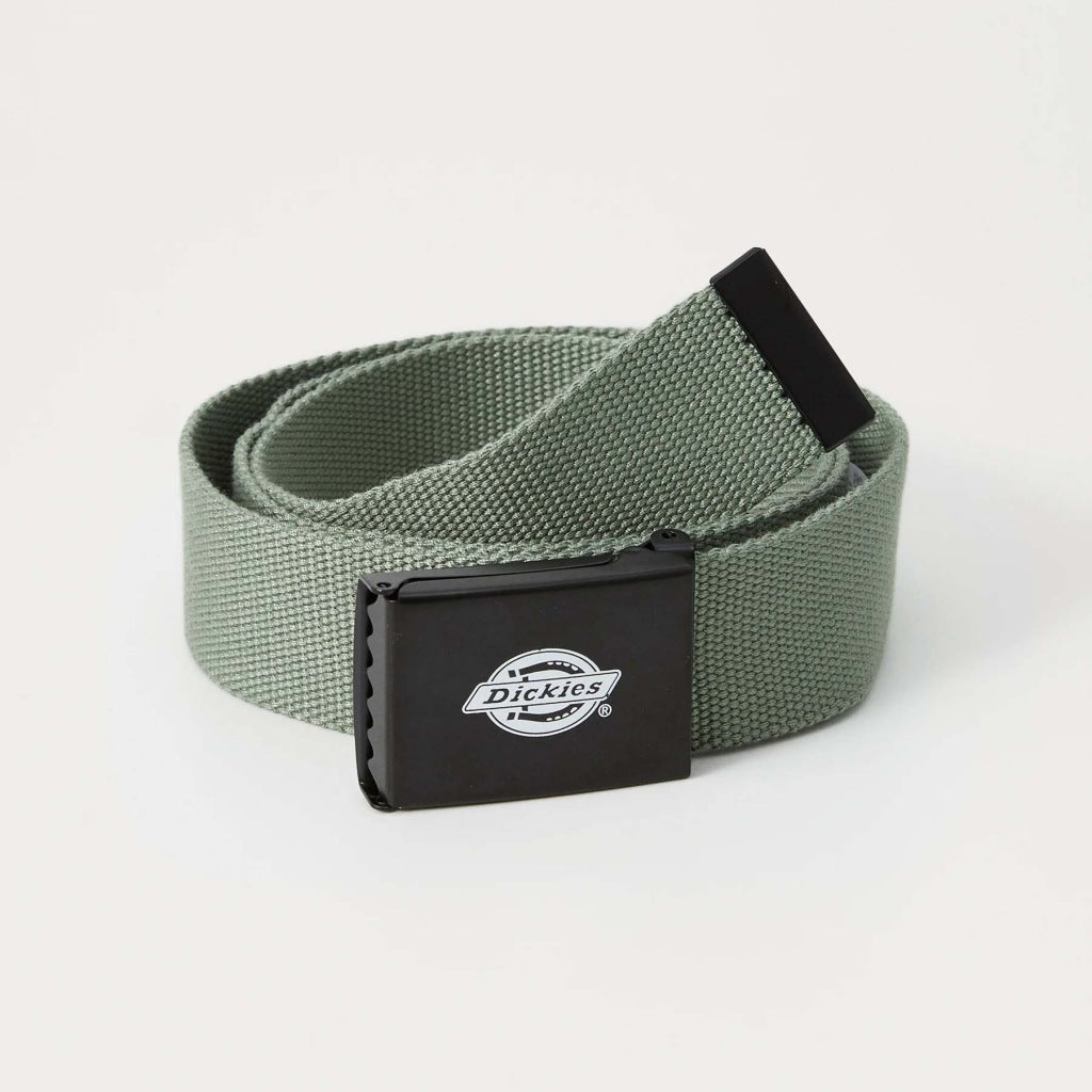 DICKIES DKAXEL en color VERDE (4)