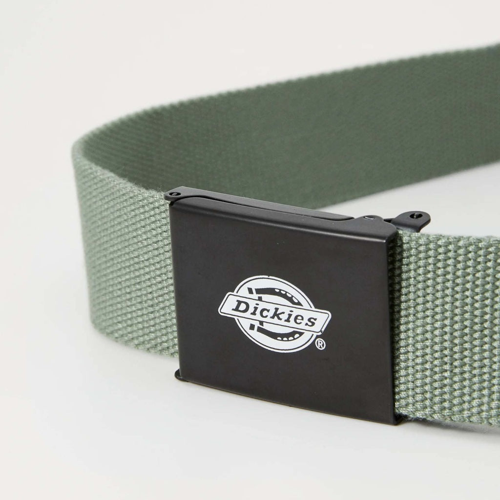 DICKIES DKAXEL en color VERDE (5)