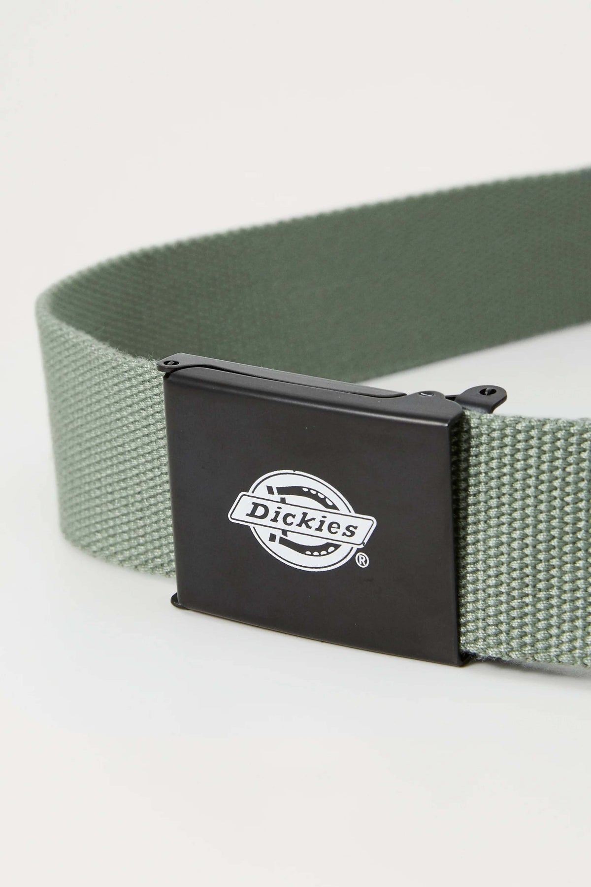 DICKIES DKAXEL en color VERDE (2)