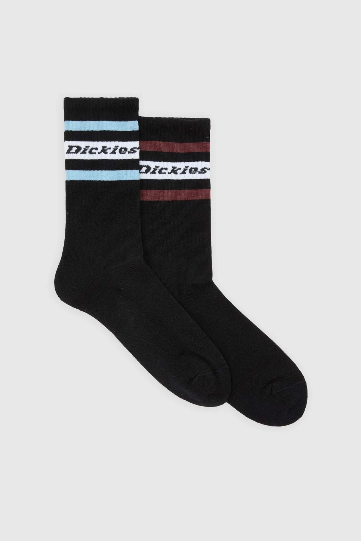 DICKIES DKAXDKL en color NEGRO (1)