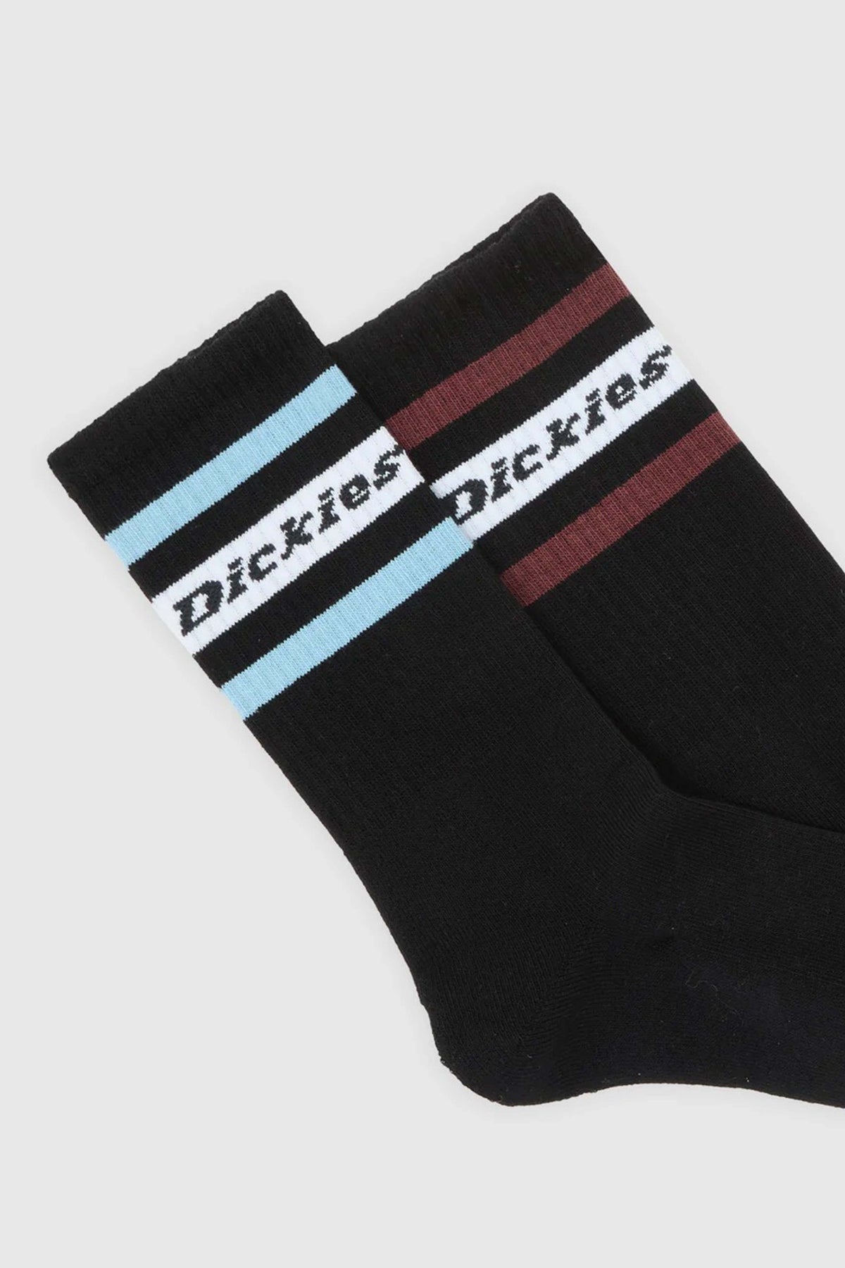 DICKIES DKAXDKL en color NEGRO (3)
