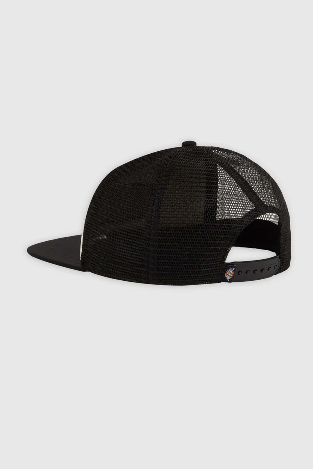 DICKIES DKANCBLK en color BEIS (4)