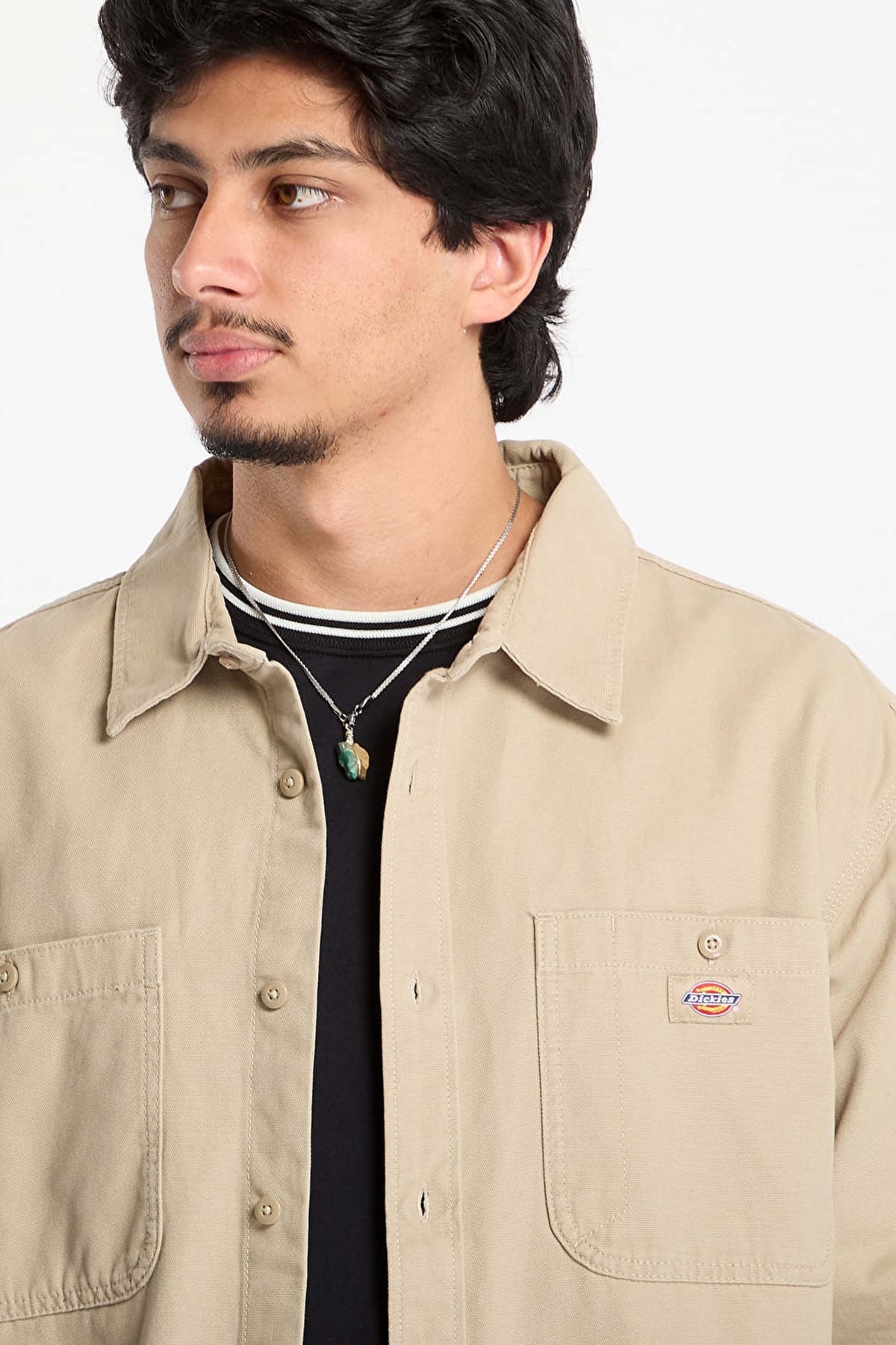 DICKIES DKAPRDS en color BEIS (3)